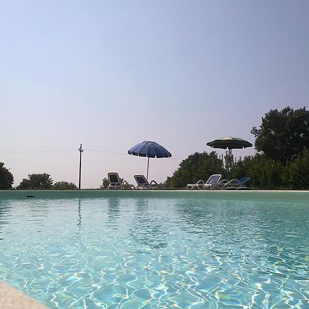 Agriturismo Monte Dell'Olmo Тревиняно Романо Екстериор снимка