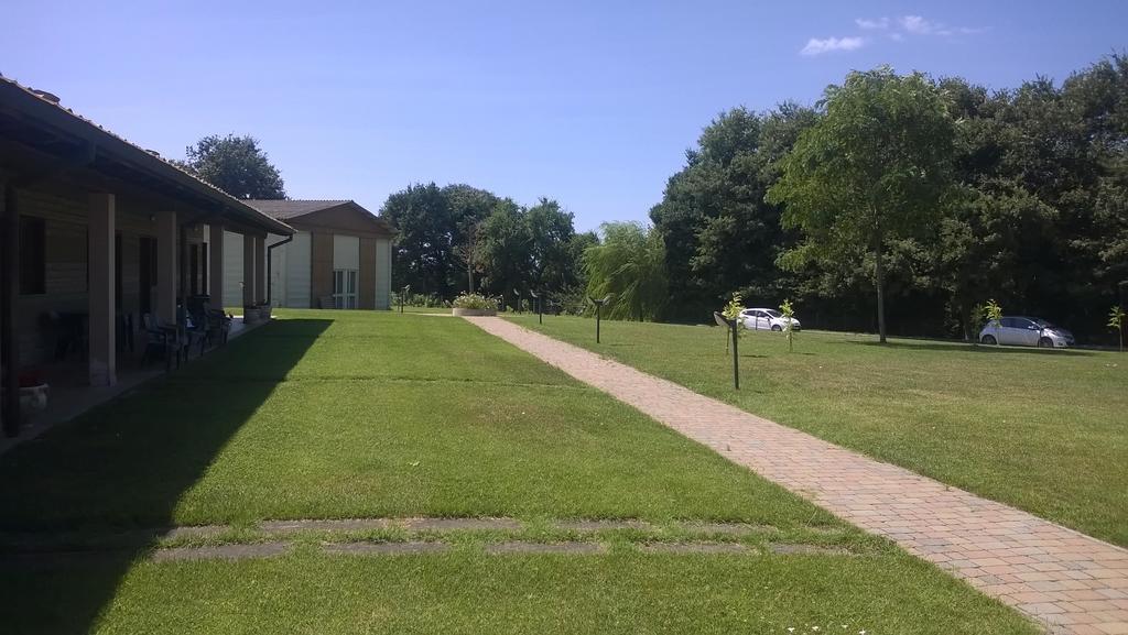 Agriturismo Monte Dell'Olmo Тревиняно Романо Екстериор снимка