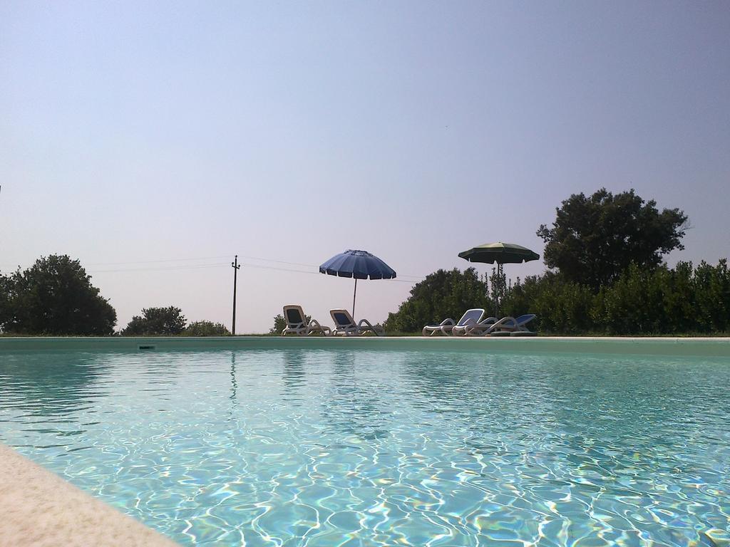 Agriturismo Monte Dell'Olmo Тревиняно Романо Екстериор снимка