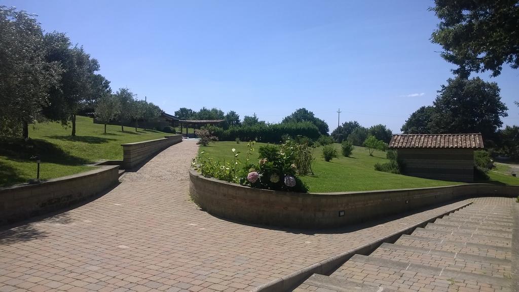 Agriturismo Monte Dell'Olmo Тревиняно Романо Екстериор снимка