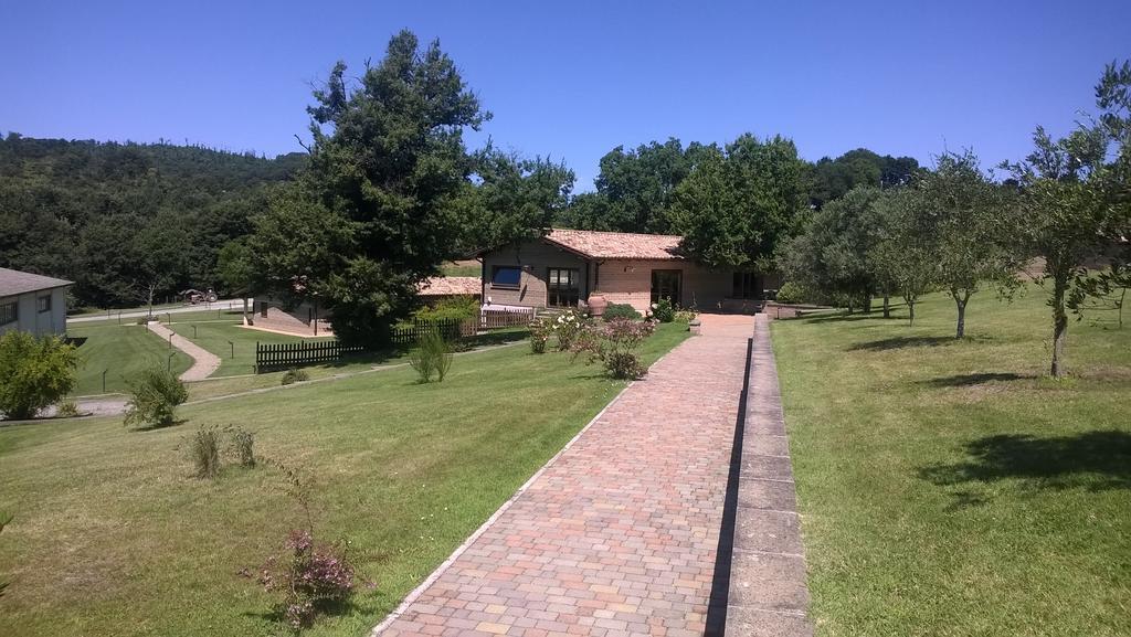 Agriturismo Monte Dell'Olmo Тревиняно Романо Екстериор снимка